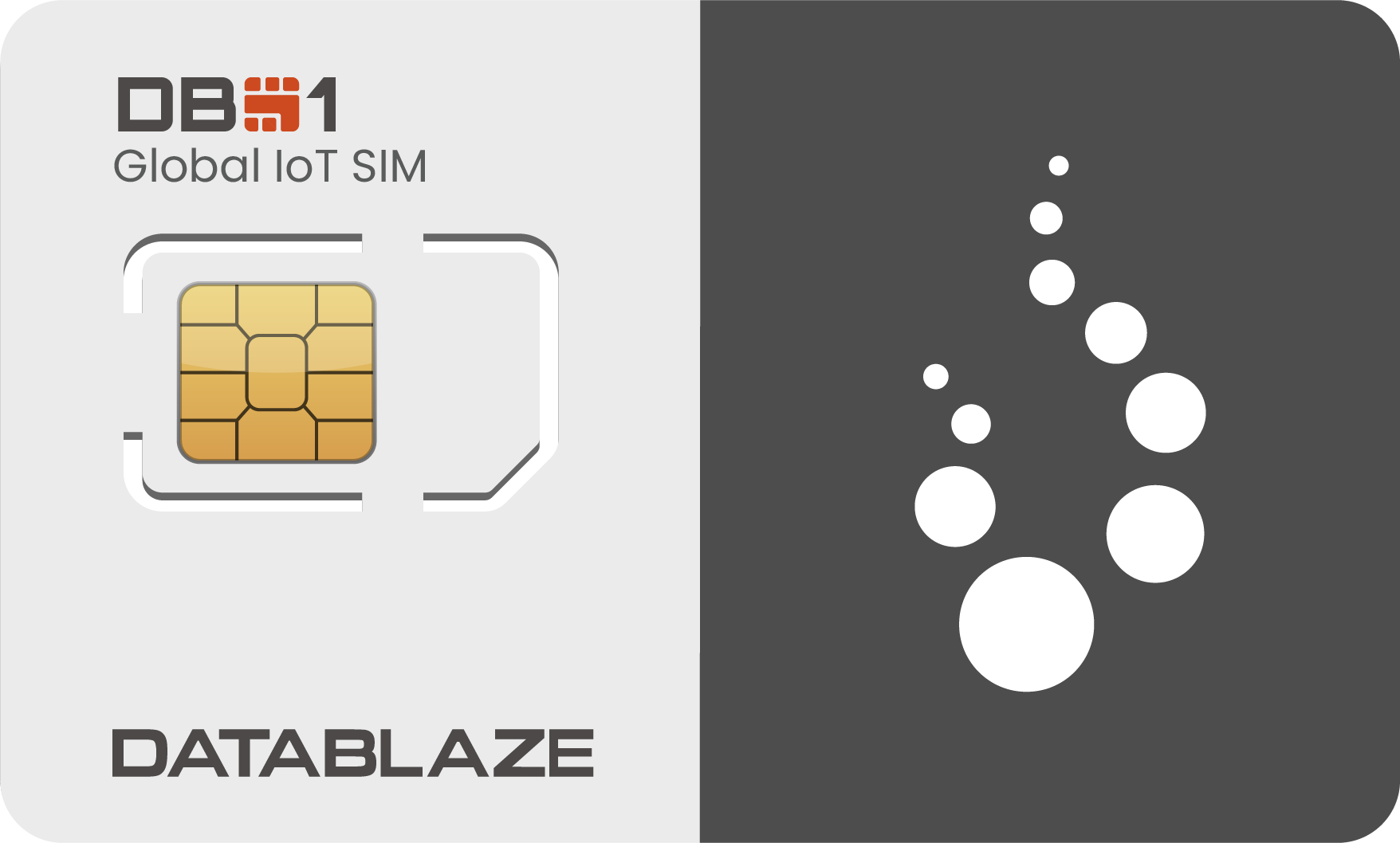 DB1 Multi-Carrier SIM Card